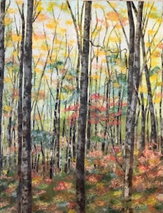 緑のダムの紅葉