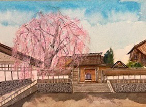 極楽寺
