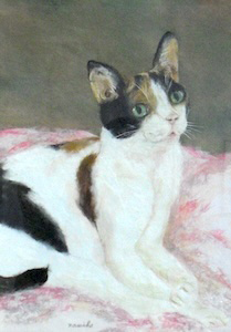猫