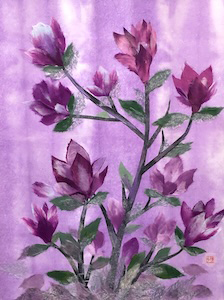 木蓮