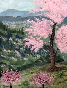 花の便り