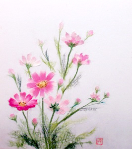 秋桜