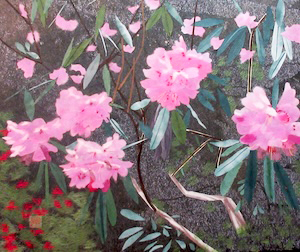 石楠花