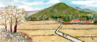 田んぼ道