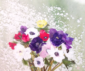 アネモネ
