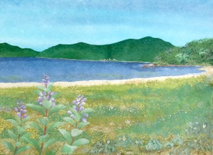 笠戸島を望む