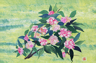 沈丁花