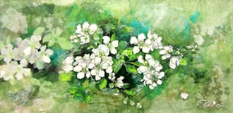 .花降る日