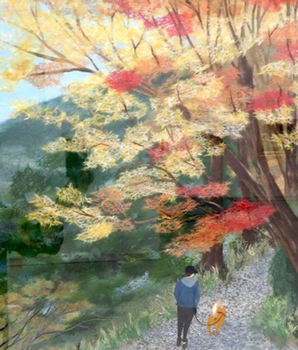 いつもの散歩道