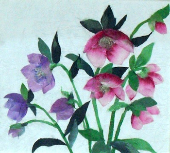 クリスマスローズ（習作）