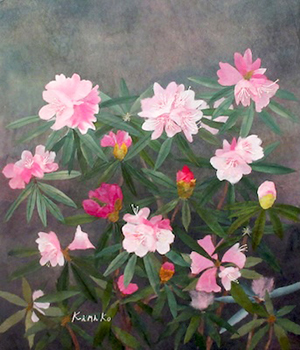 しゃくなげの花