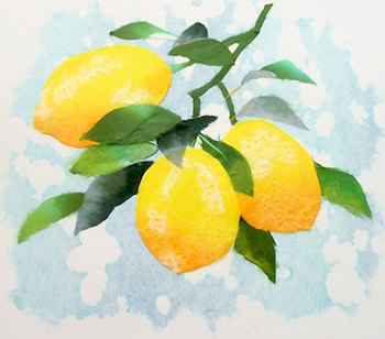 レモン（習作）