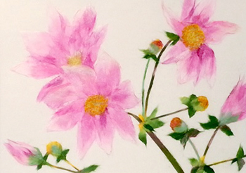 皇帝ダリア（習作）