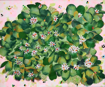 満開（金のなる木）