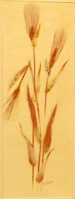 麦