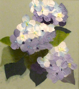 紫陽花（習作）