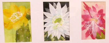 サボテンの花