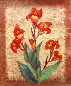 赤いカンナの花