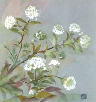 小手毬