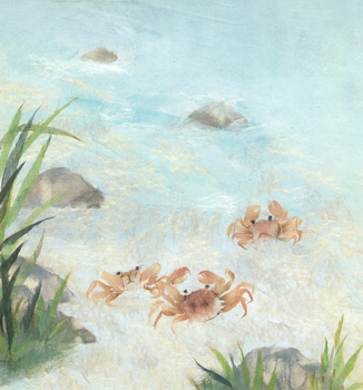 蟹たちの夏