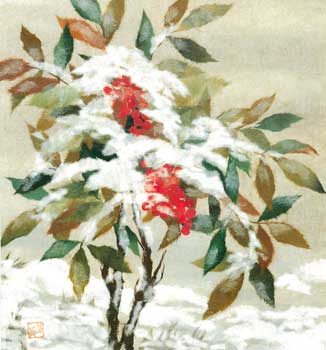 雪南天