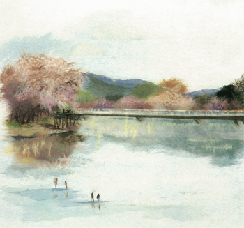 公園の桜