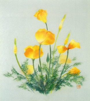 花菱草