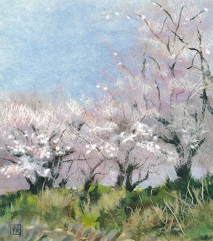 花盛り