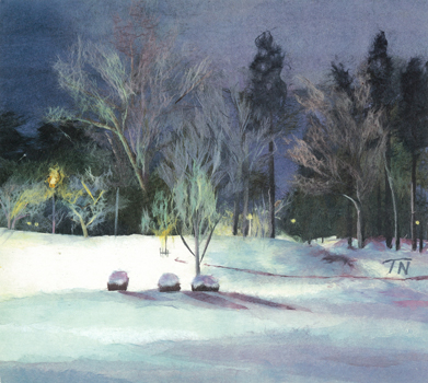 冬の夜の公園