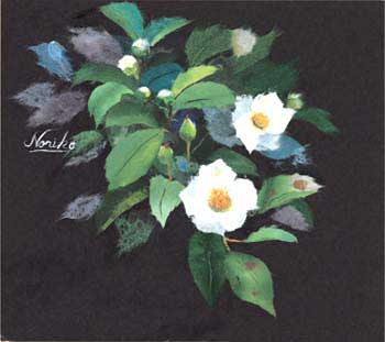 沙羅の花（夏椿）