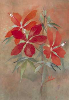 紅蜀葵（もみじあおい）