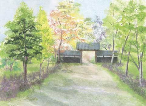 新緑の庭園