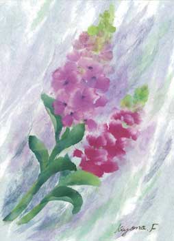ストックの花