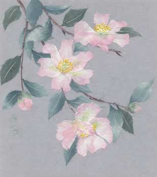 山茶花