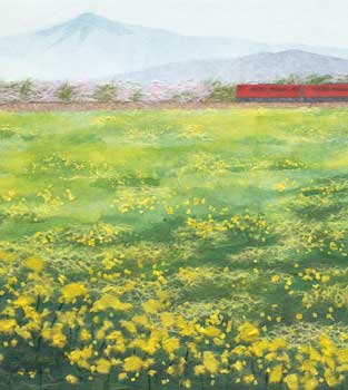 菜の花畑